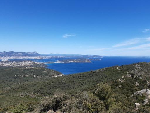 T2: 45M2 :4 Places :Independant Dans Villa Hyères Exterior foto